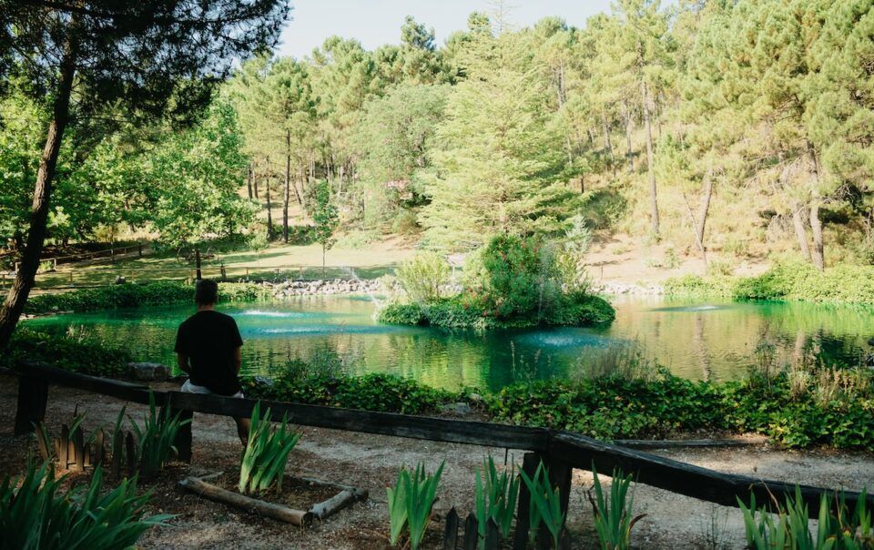 Cabaña Riópar 7